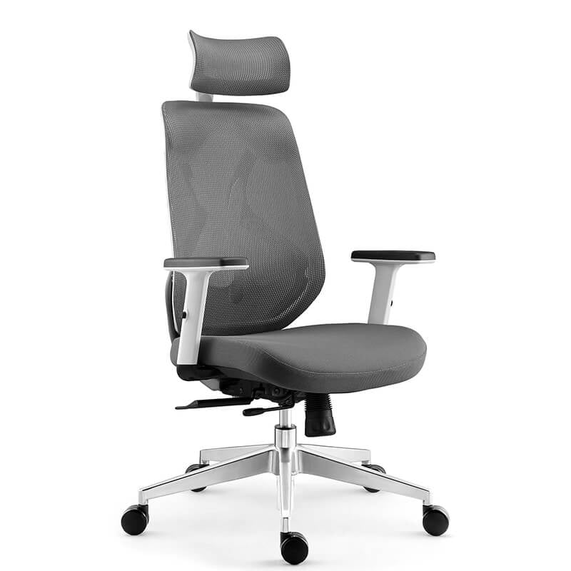 Ergonomic Office Chair gray seat