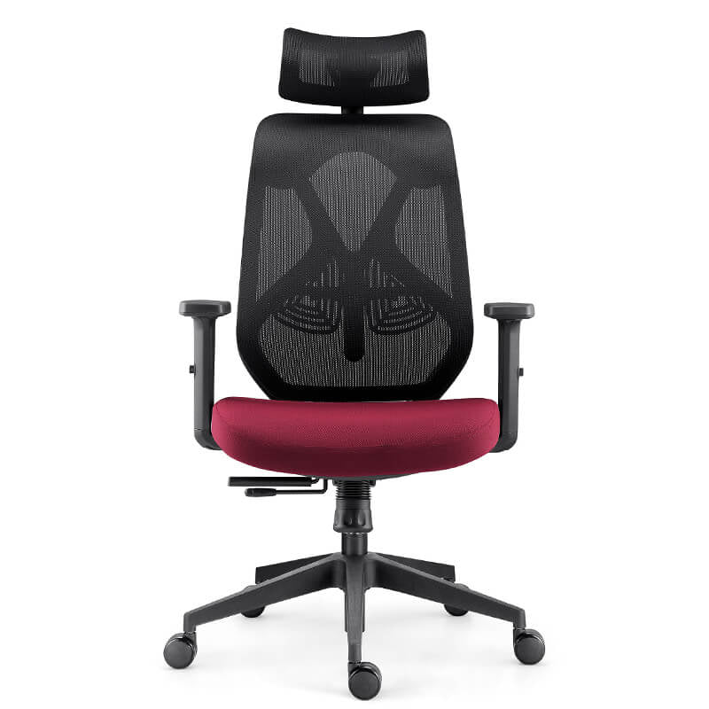 Ergonomic Office Chair red seat