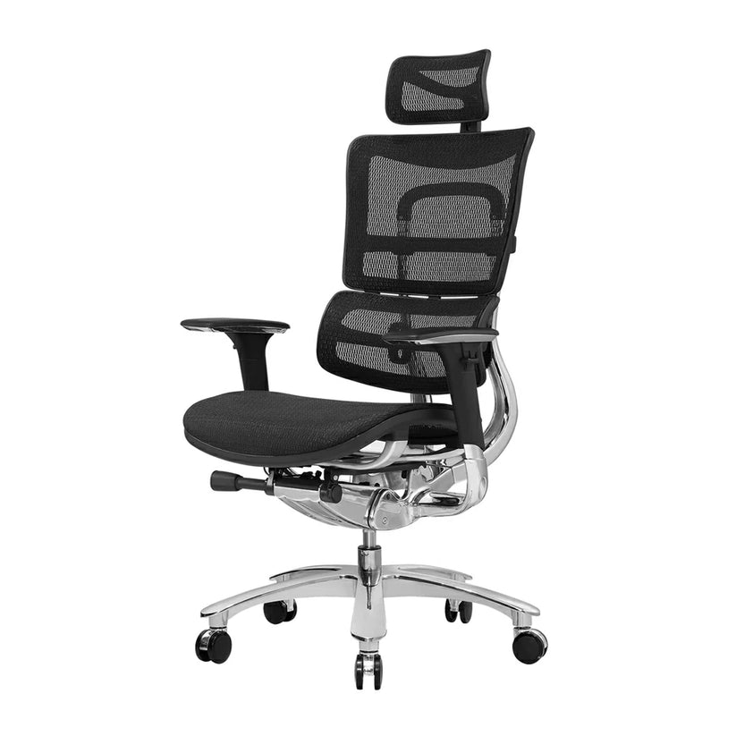 2.1 All Mesh Ergonomic Computer Chair with Ergo Head Rest