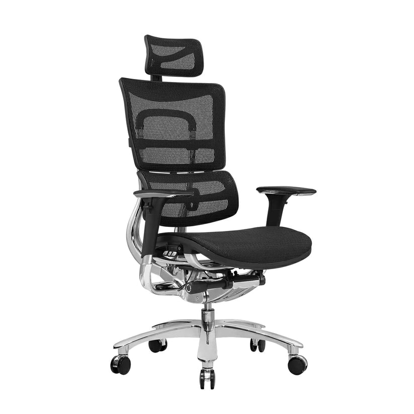 All Mesh Ergonomic Computer Chair with Ergo Head Rest