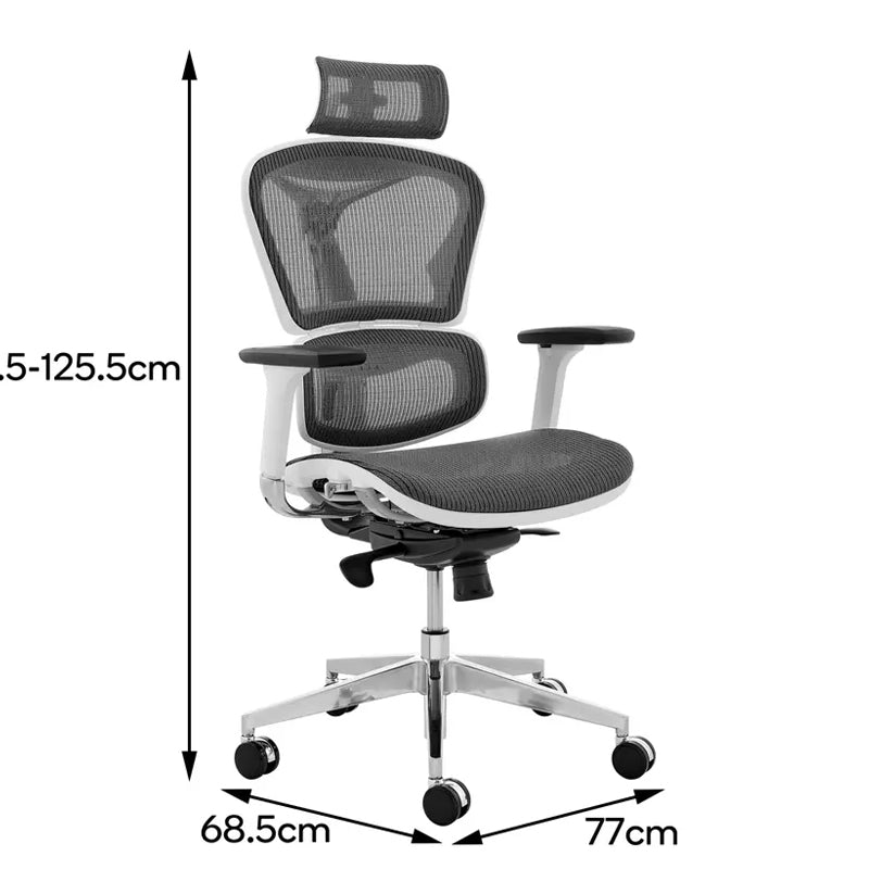 HERO Ergonomic High Back Mesh Chair, Adjustable Lumbar Support, Headrest and 3D Armrests